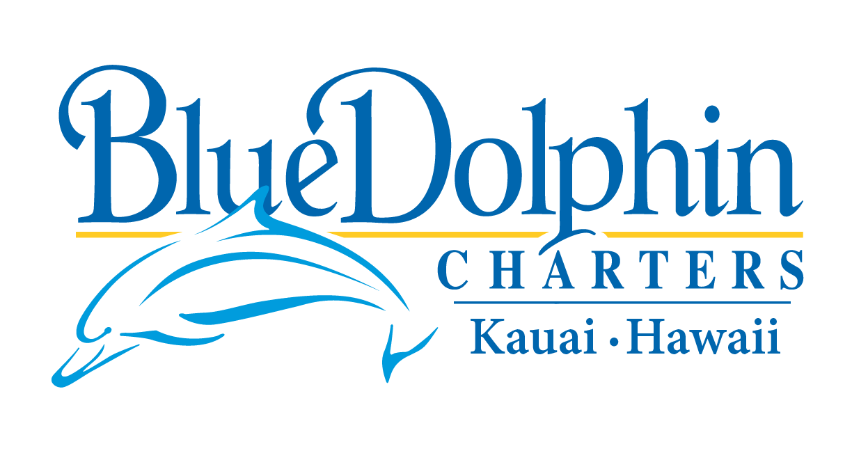 Blue Dolphin Logo